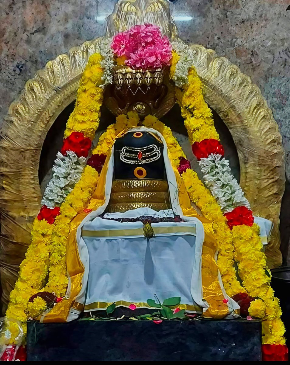 Grivalam's tweet photo. ✨திருப்பள்ளியெழுச்சி✨ 

பாடல் : 5

https://t.co/wqvGWBBRXj

#ஓம்நமசிவாய🔥
#OmNamaSivaya
#ओम_नम_शिवाय
#sivansongs
#hindu #god #shiva 
#lord #eswar #lordshiva
#lordshivatemple #tiruvannamalai 
#tiruvannamalaitemple 
#annamalaiar #sivan https://t.co/f2OrmD1c7X