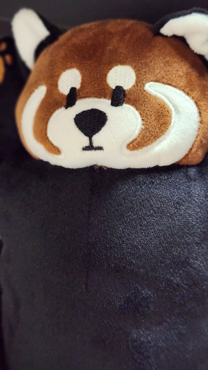 tmtrajk's tweet photo. #イカク生誕祭2026
ああイカク　七生まで只同じ人間に生まれて、掌に収めばやとこそ存候へ https://t.co/eq4ZEoIdX1