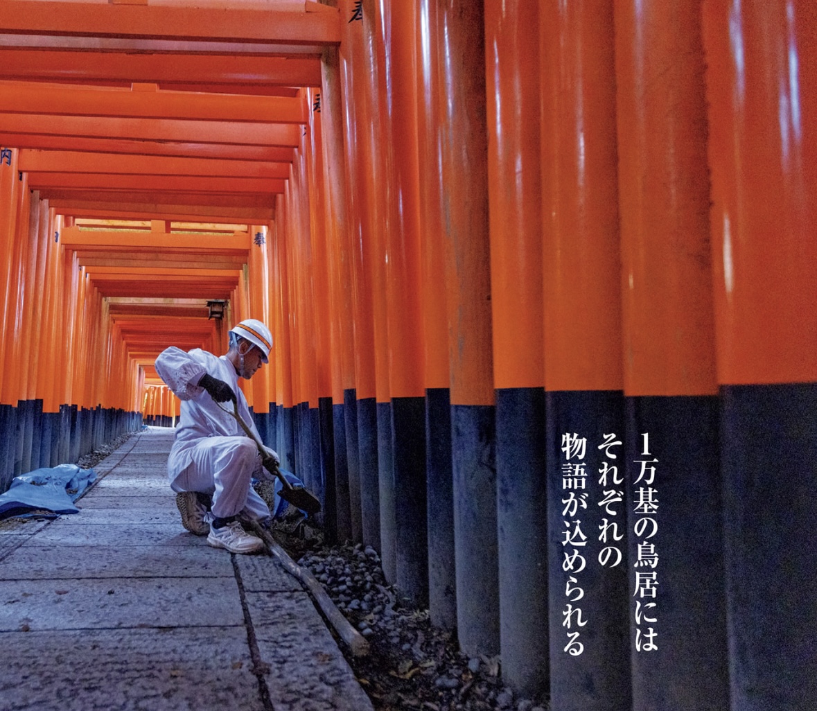 鮮やかな朱色の鳥居が立ち並ぶ #千本鳥居 に多くの観光客が訪れる京都