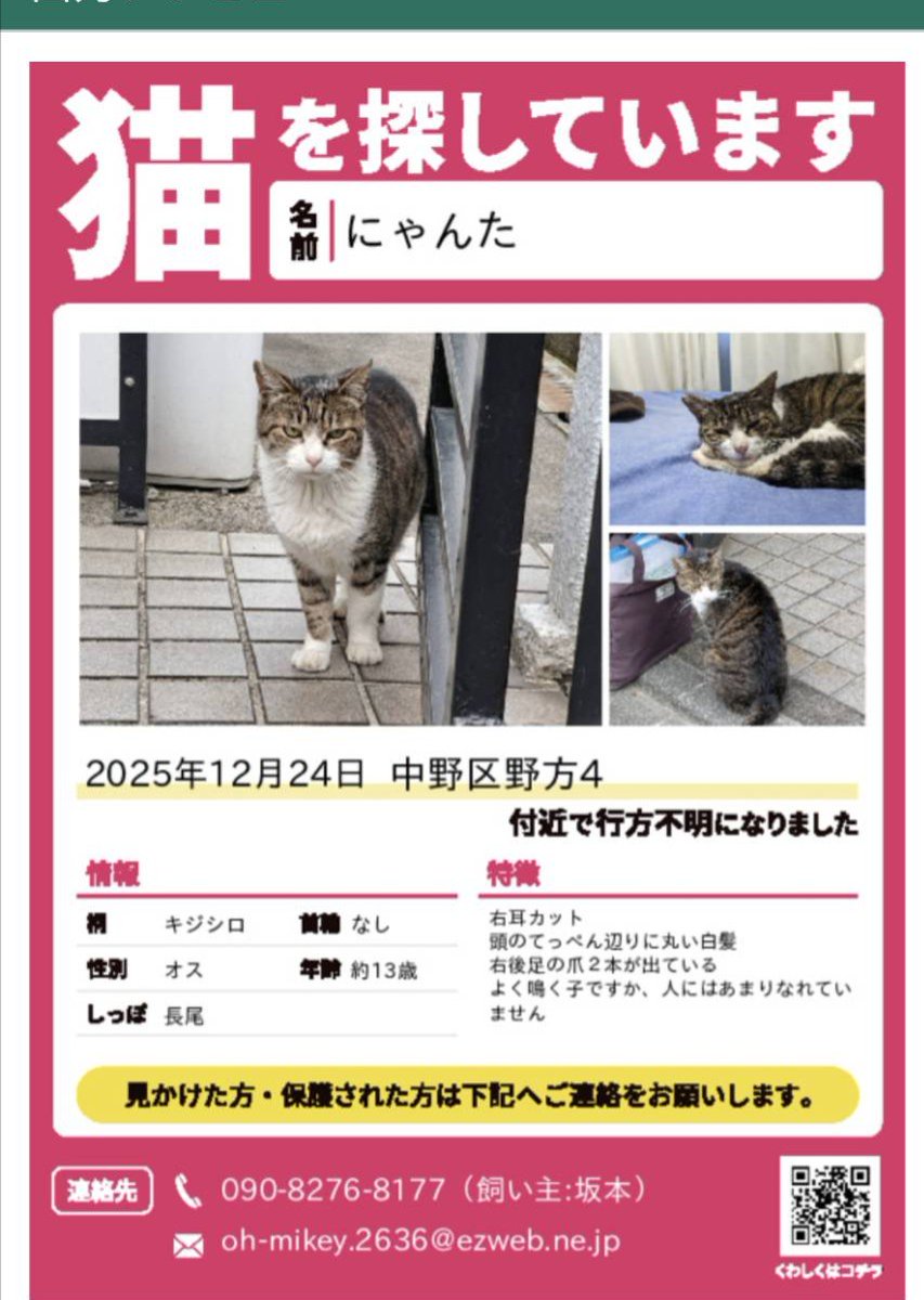 WAMI666's tweet photo. いろいろ、問い合わせ〜
にゃんた　未だ
見当たらない！
ポスター作ったのです。 https://t.co/edGKcCgicC