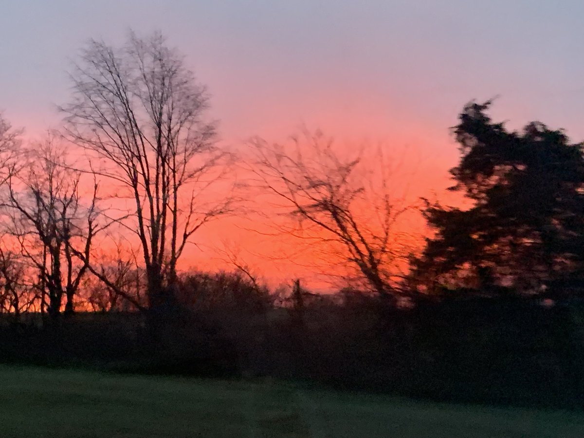 AngelaLRush's tweet photo. When the sunrise is this beautiful, you know it will be an amazing day. https://t.co/T37rPV15NB