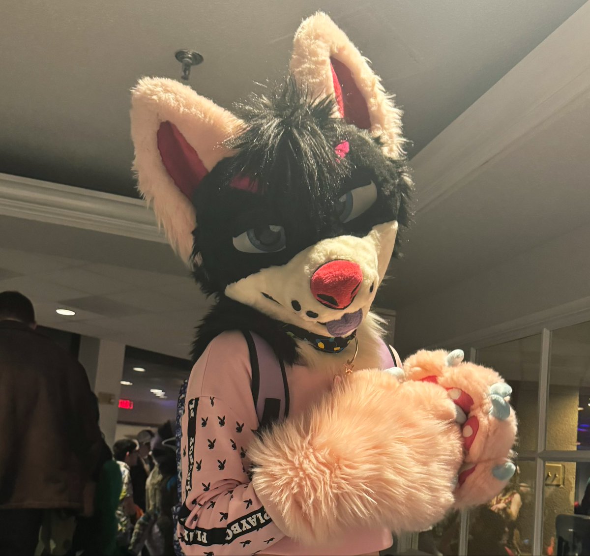 KonaFuzzbutt tweet media