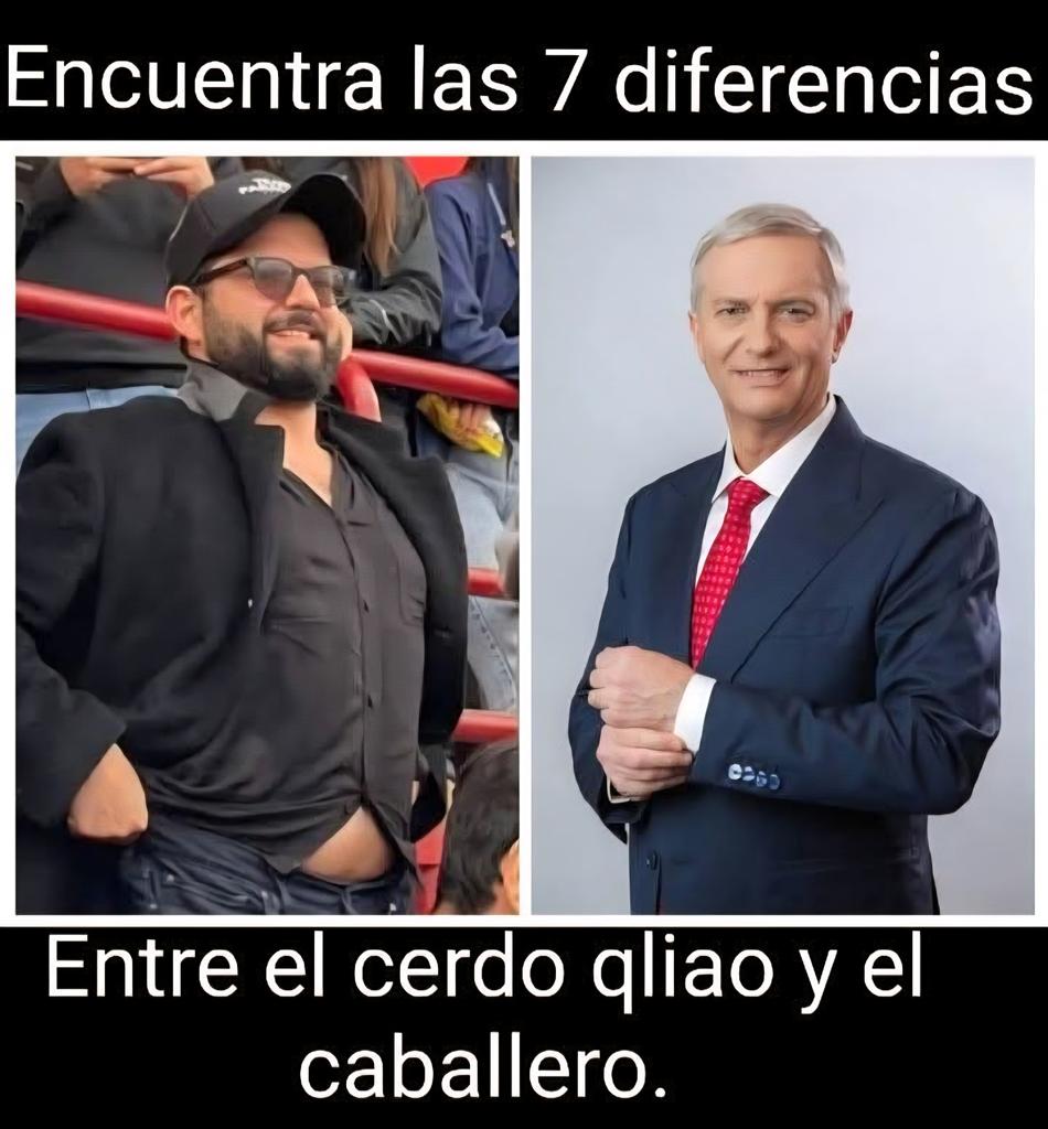 Amalia 🇨🇱🇨🇱 tweet media