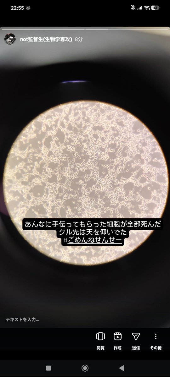 Ake_red07's tweet photo. 天才の発想すぎる
監督生みたいにやってみたかったんだけどそんなにオシャレな写真持ってなくてnot監督生になった
すっごく楽しい https://t.co/kqH9pJdWzO