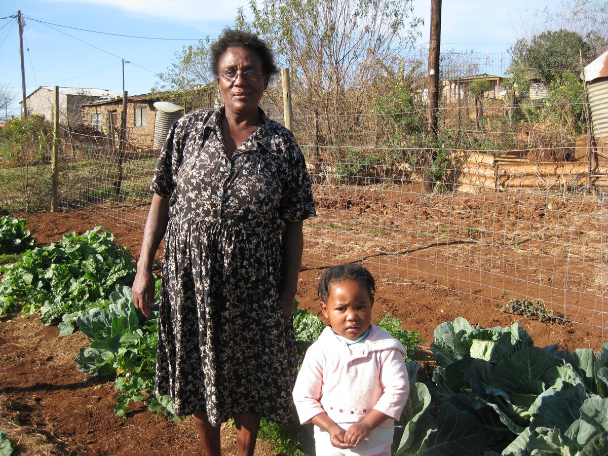 Robin Currie tweet media