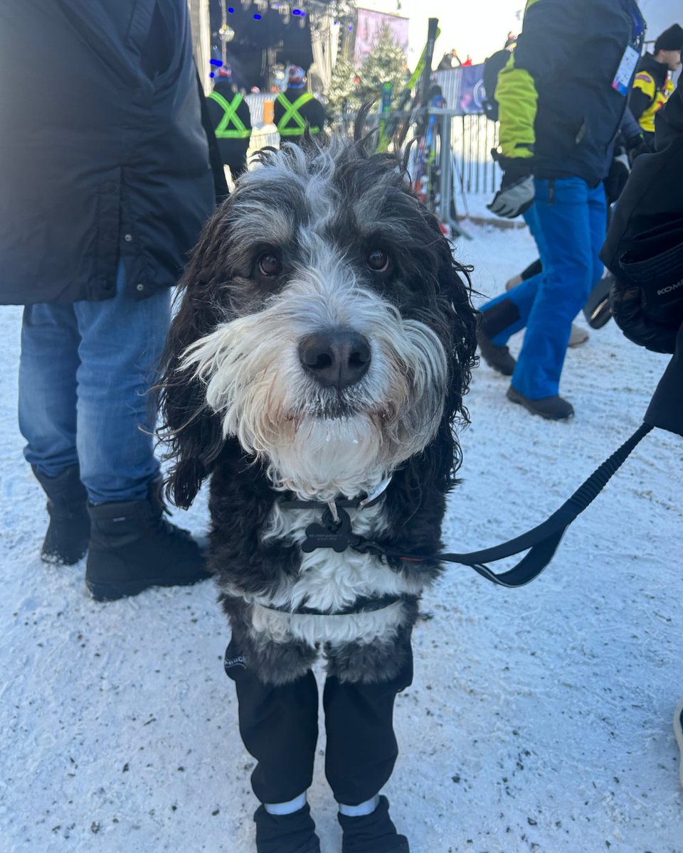 Life at ServiceNow tweet media