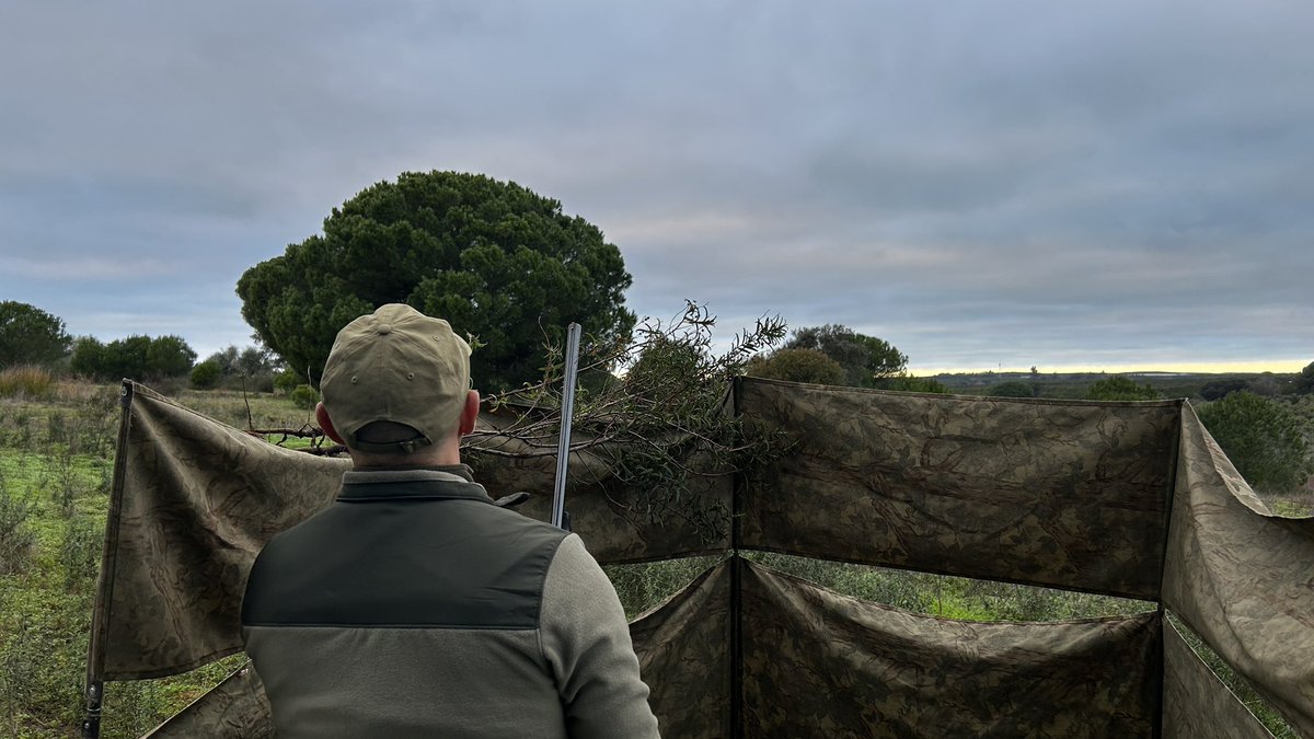 El día empezó muy temprano, con un buen desayuno para coger fuerzas y, a continuación, partir hacia el cazadero. Amaneció nublado, sin aire y sin agua, y los zorzales cumplieron, se ve que con el frío que ha hecho en el norte se han bajado.