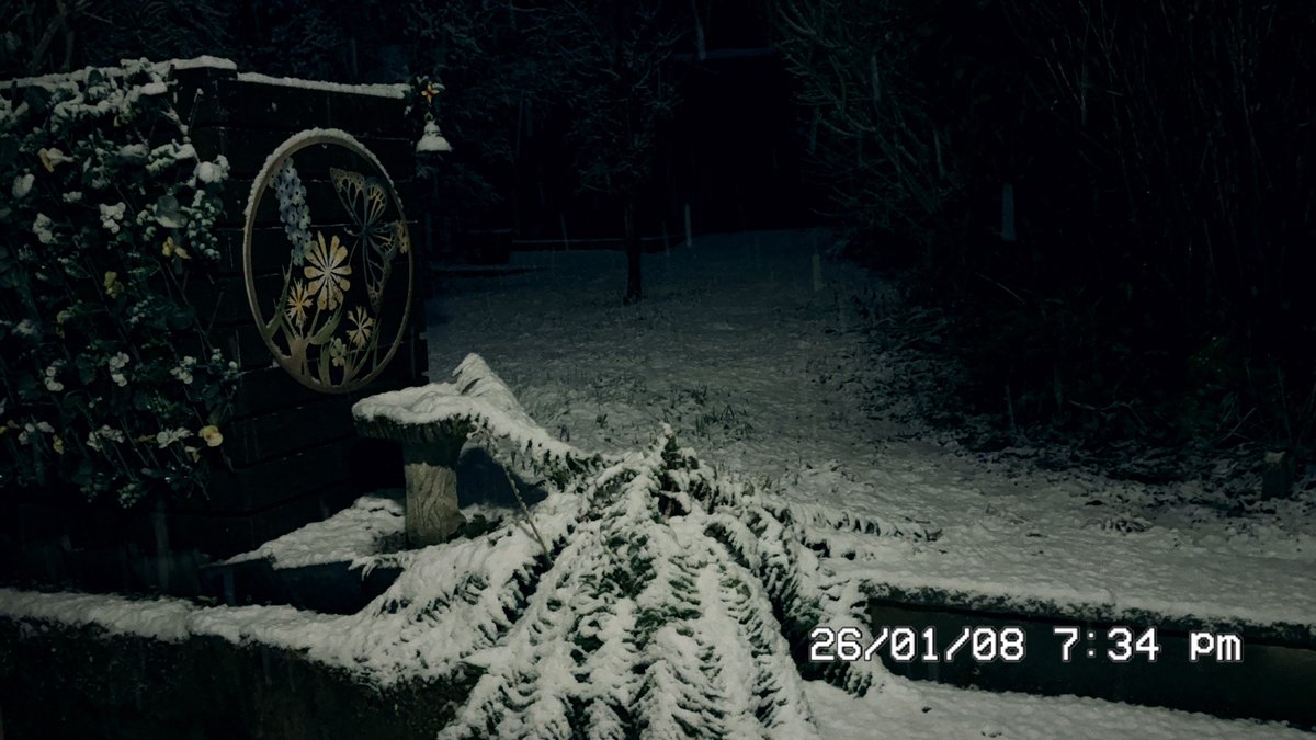 Leo/Eli (@vasmp3) on Twitter photo 