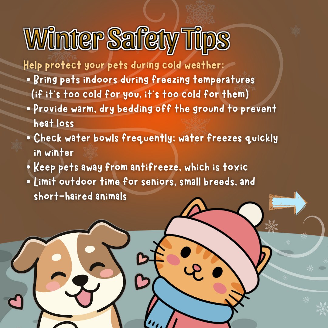 RichlandSC's tweet image. PET PROTECTION. Now that winter has arrived in the Midlands, #RichlandCountySC Animal Services wants pet owners to remember some tips for keeping pets safe during the cold-weather months. Explore this post, then visit tinyurl.com/3n2rcmxe for more info.

#PetSafety #Tethering