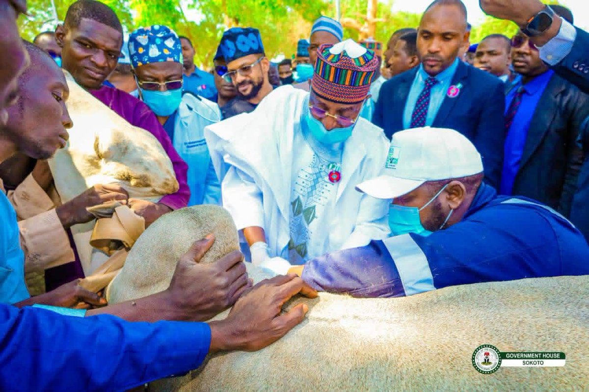 Ahmedaliyuskt's tweet photo. I am pleased that Sokoto State hosted the national flag-off of the 2026 Trans-Boundary Animal Diseases Vaccination by the Honourable Minister of Livestock Development, Hon. Muktari Maiha, alongside the commissioning of the L-PRES Model Veterinary Hospital. 

This strategic intervention will strengthen animal health systems, reduce livestock losses, boost meat and milk production, create jobs, and improve the livelihoods of our farmers and pastoralists. 

We will continue to work closely with the Federal Government under the leadership of President Bola Ahmed Tinubu to modernise livestock production and enhance food security in Sokoto State and Nigeria. -AAS
