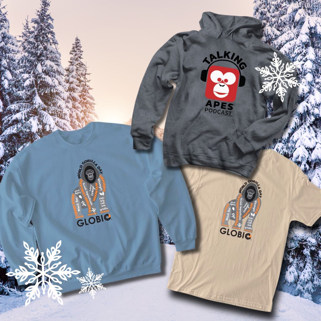 GLOBIO Apes tweet media