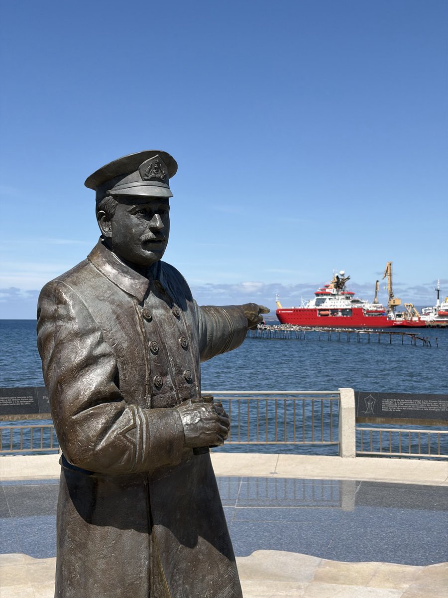 Yuuki Niimi tweet media