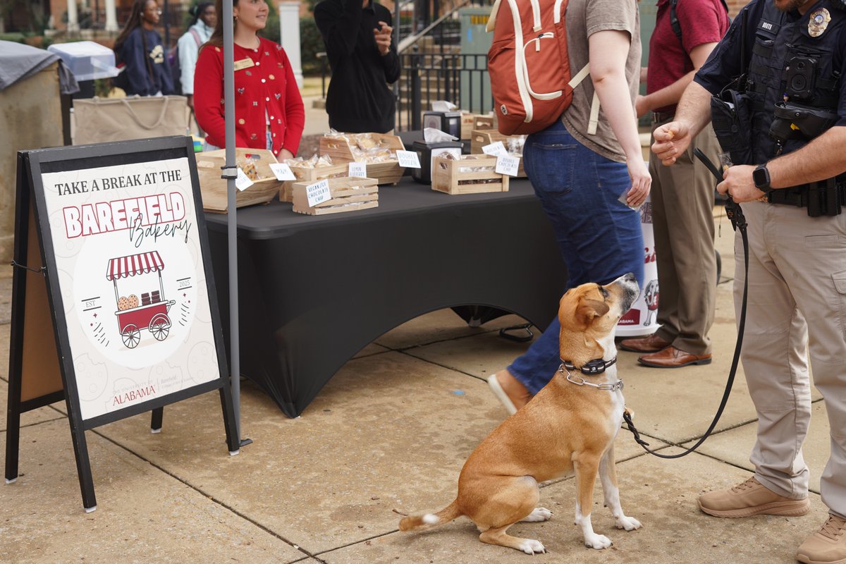 J. Frank Barefield Jr. College of Arts & Sciences tweet media