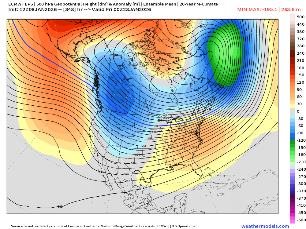 Adam Furey tweet media