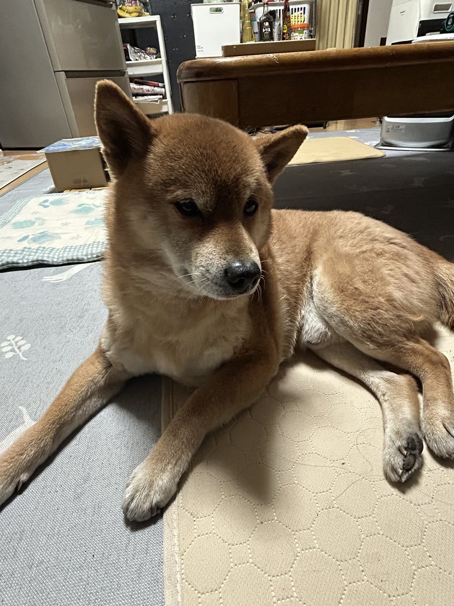 H I R O M I (@HIROMI66136439) / Posts / X