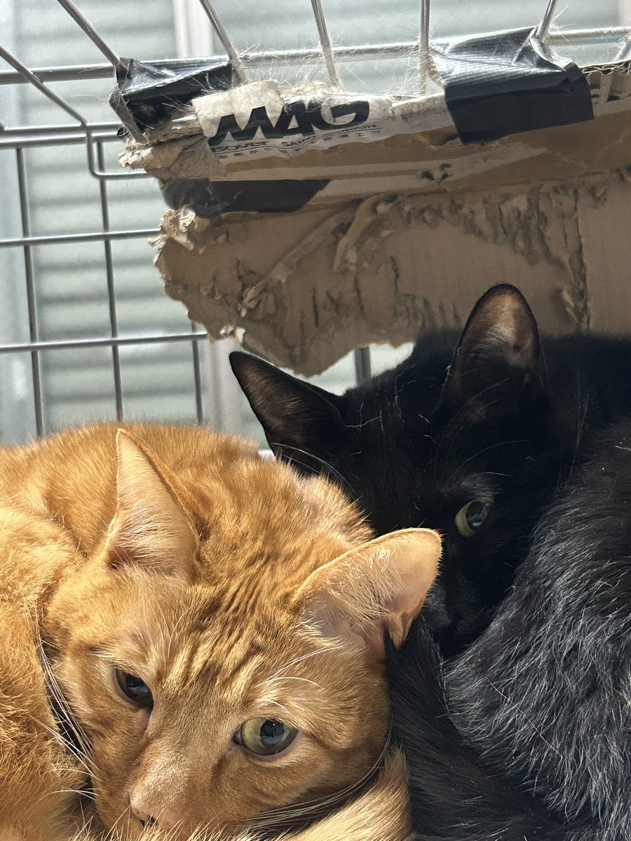 H I R O M I (@HIROMI66136439) / Posts / X