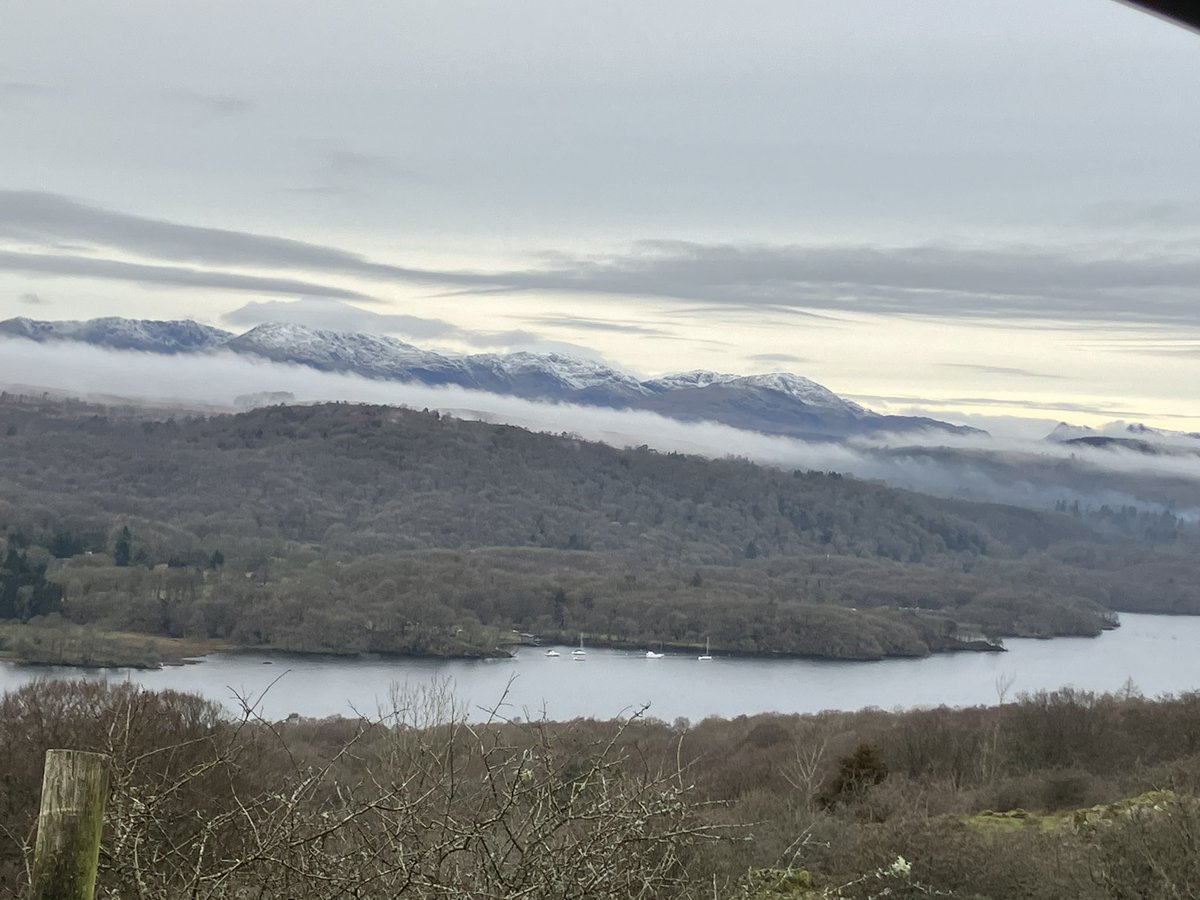 Andrea Meanwell tweet media