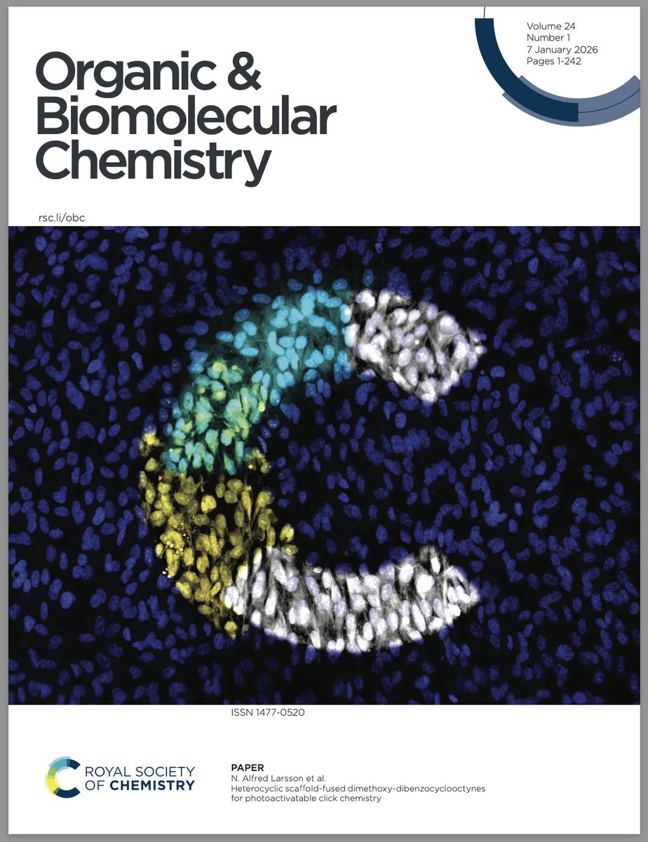 Daniel Fürth tweet media