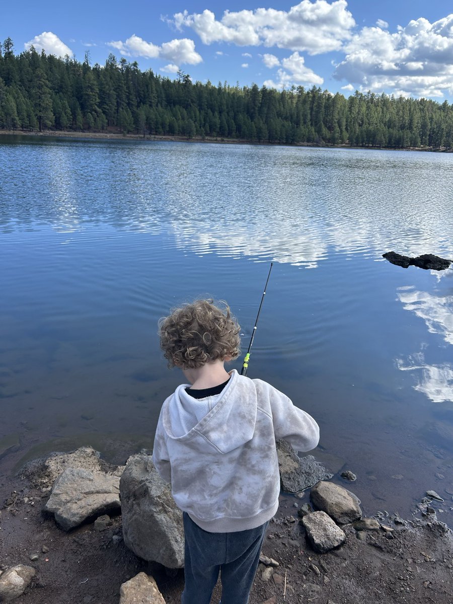 Heath Pulver tweet media