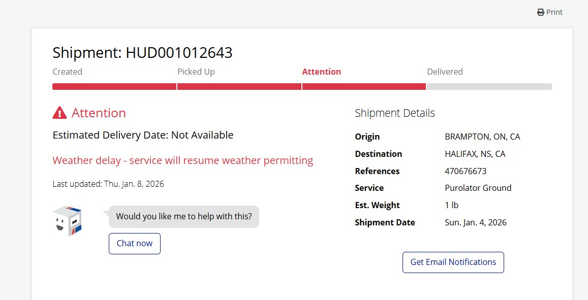 Glittered Adult tweet media