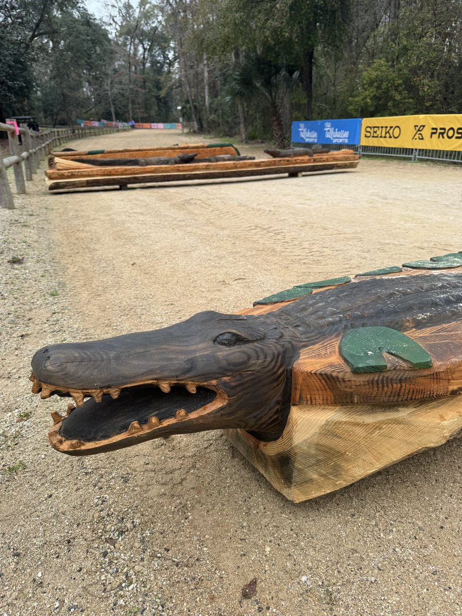 Post by 信櫻空 shinozakura sora on X: いました🐊