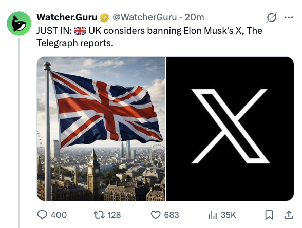 Alex tweet media