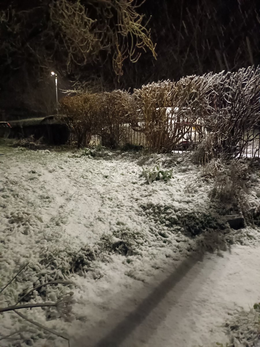 MelJD46's tweet photo. Having just nipped to the car...its very wet #snow #LE14 but there is that lovely hush that falls at the time of snow. #ethereal #beautiful. Not what i will be thinking in the morning at worktime Im sure..but now, yes https://t.co/ZOwHNoZR9r