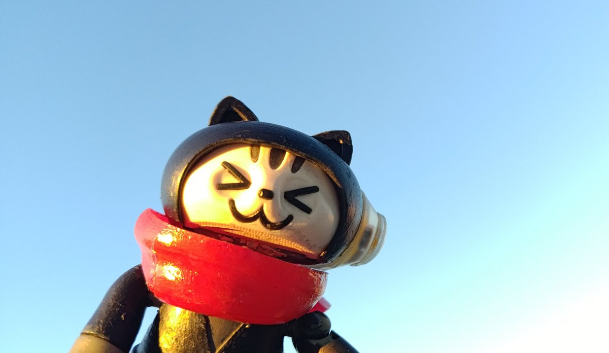 おはようにゃん😺 1月9日、金曜日、晴れにゃ☀️ 年末年始休み明けから
