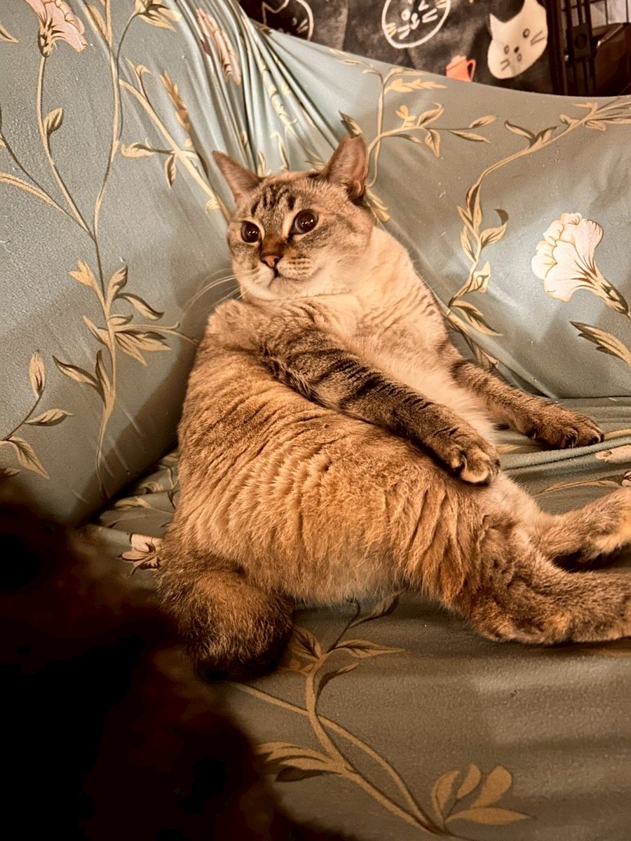 獅子丸 (@Shishimaru_84) / Posts / X