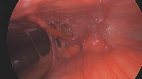 JPGN Reports tweet media