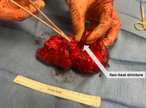 JPGN Reports tweet media