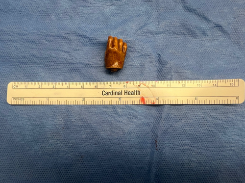 JPGN Reports tweet media