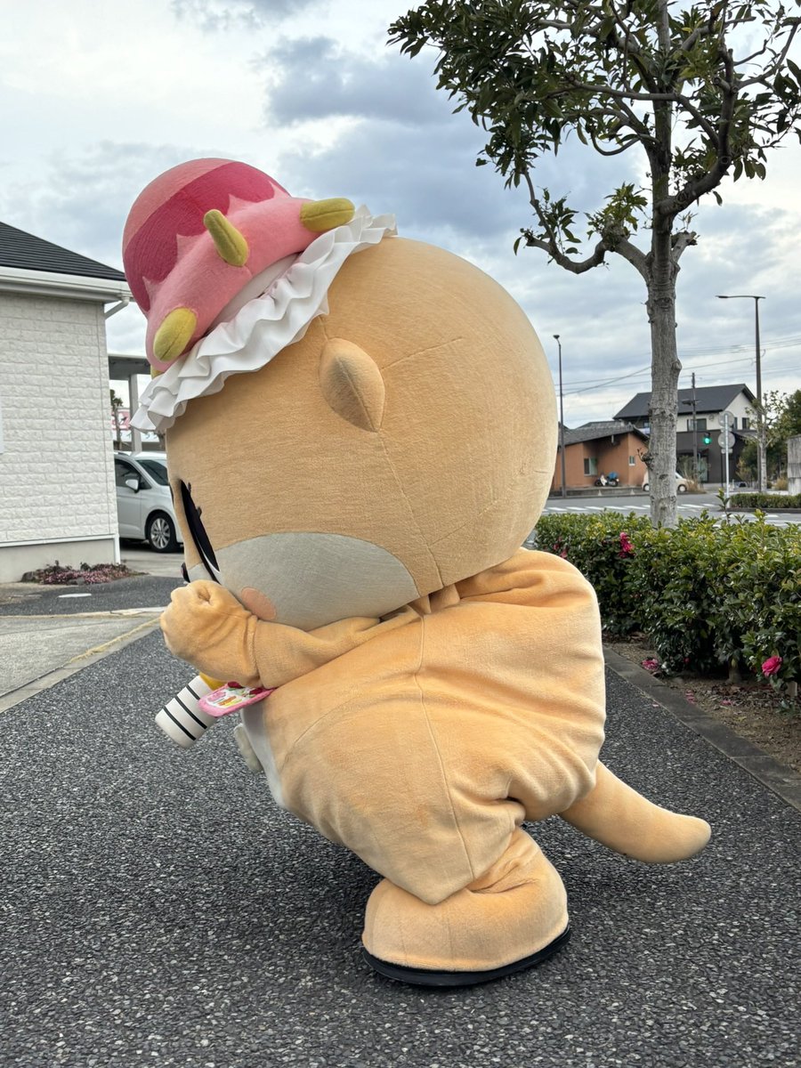 公式：ちぃたん☆九州 (@Kyushu_Chiitan) / Posts / X