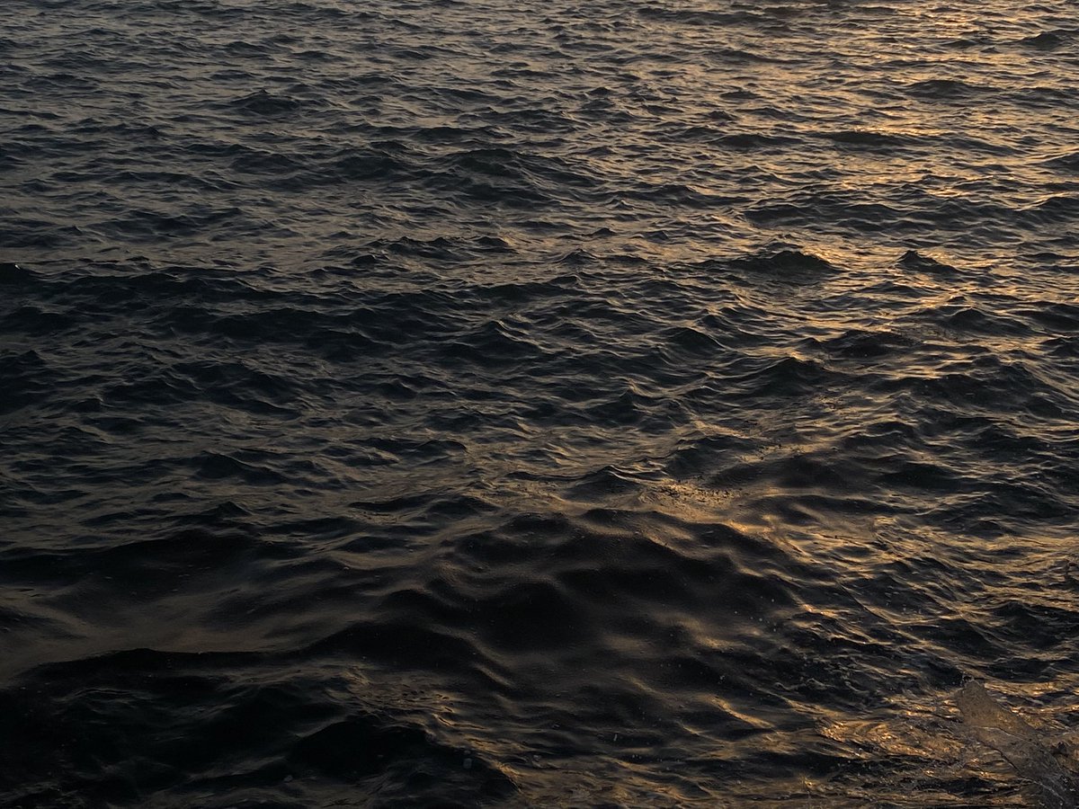 bluanstro's tweet image. I love you more than the sea