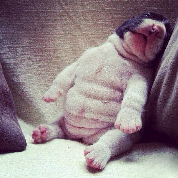 Ate mexican food then had a couple donuts