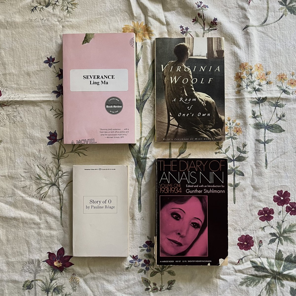 honeyaches0's tweet image. some of the books i plan to read in 2026