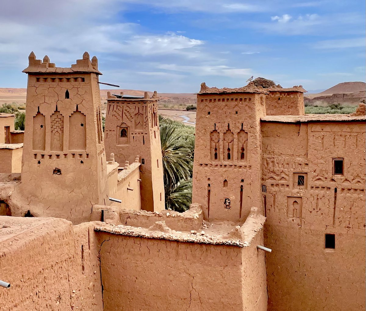 Abdelhamid Bousaadi tweet media