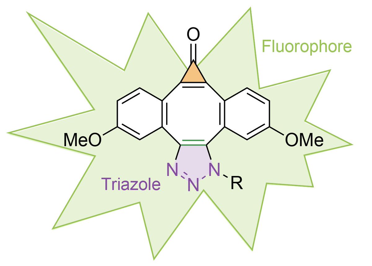 Daniel Fürth tweet media