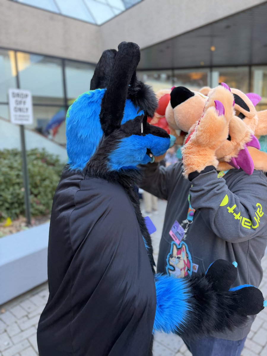 Candy Wuff 🍭🍬 tweet media