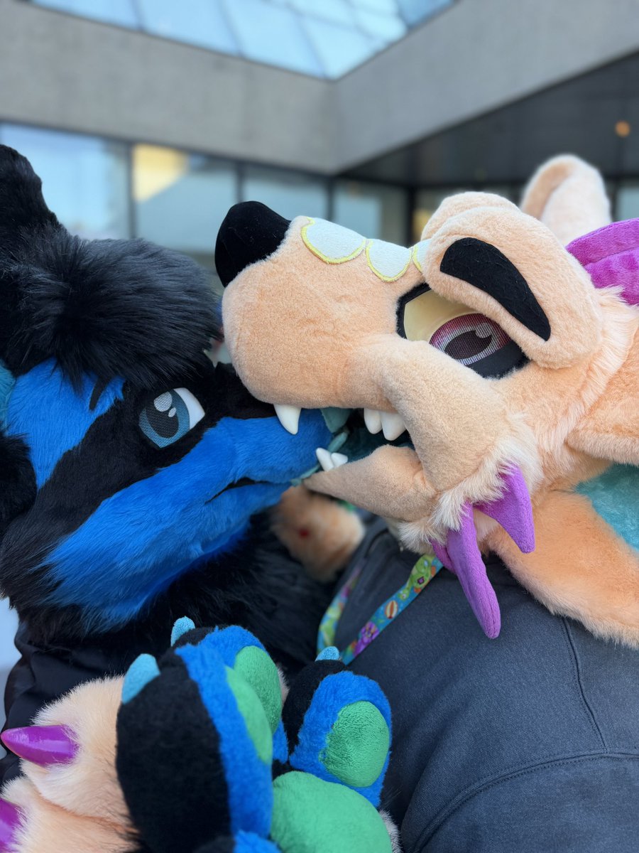 Candy Wuff 🍭🍬 tweet media