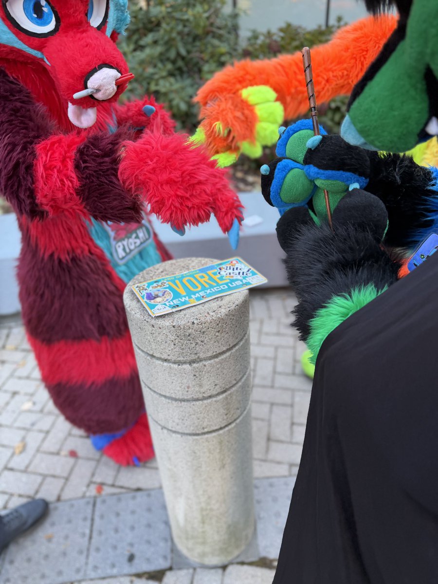 Candy Wuff 🍭🍬 tweet media