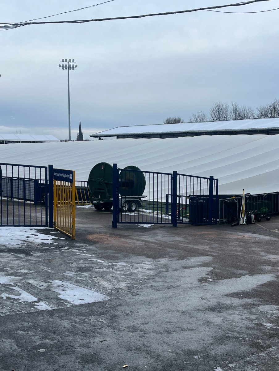 𝐓𝐡𝐞 𝑻𝒆𝒓𝒓𝒊𝒆𝒓𝒔 𝐅𝐚𝐧 tweet media