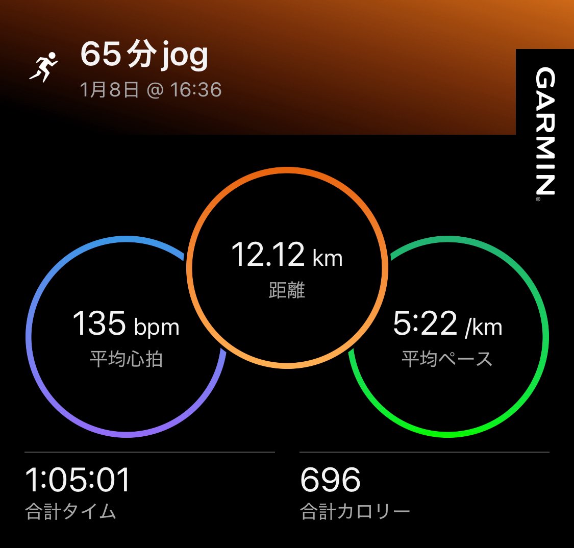 1/7 30km E'
1/8 65分jog

会社の仲間と多摩川で30kmEペース。とにかく風は強いし砂利道だしでEペースだけど修行だった。