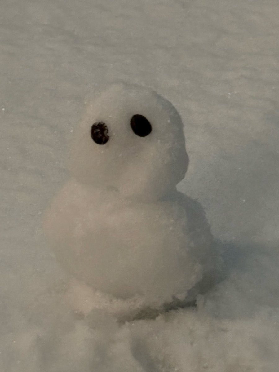 maxchan's tweet image. The very first little snowman at my house☃️