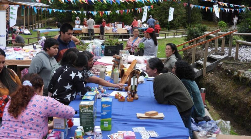 Exitosa 3ª Feria Agroturística de Islas Las Huichas reunió a más de 400 personas diariocondoresdelbaker.cl/?p=35765