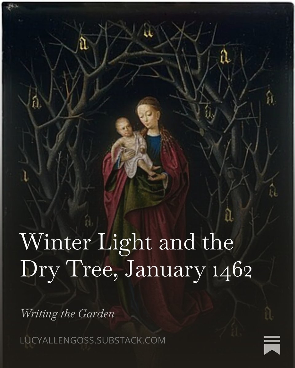 Lucy Allen-Goss tweet media