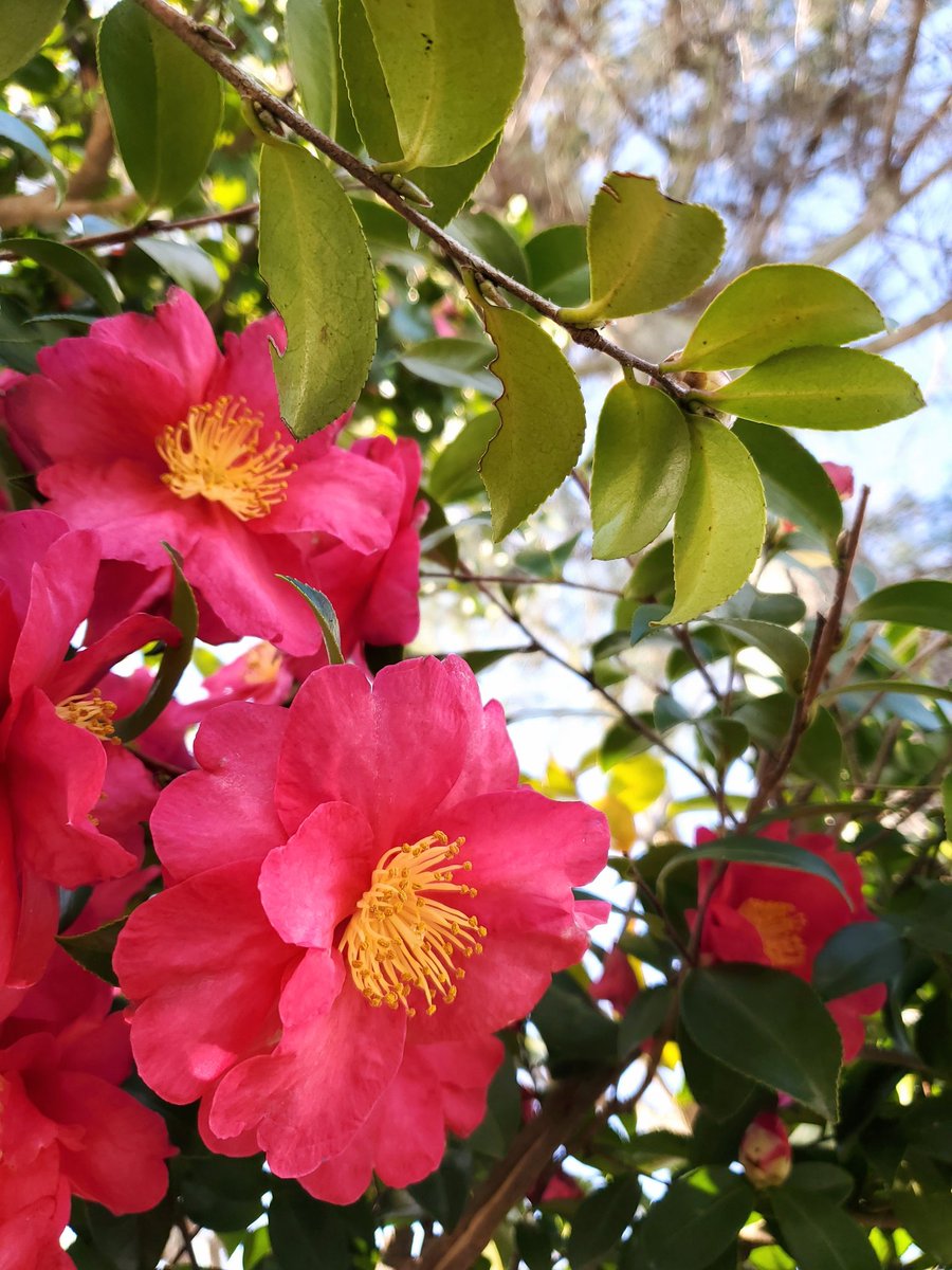 mayuページ MAZAK Nexus 510C-II Vertical Machining Center - Machining Centers