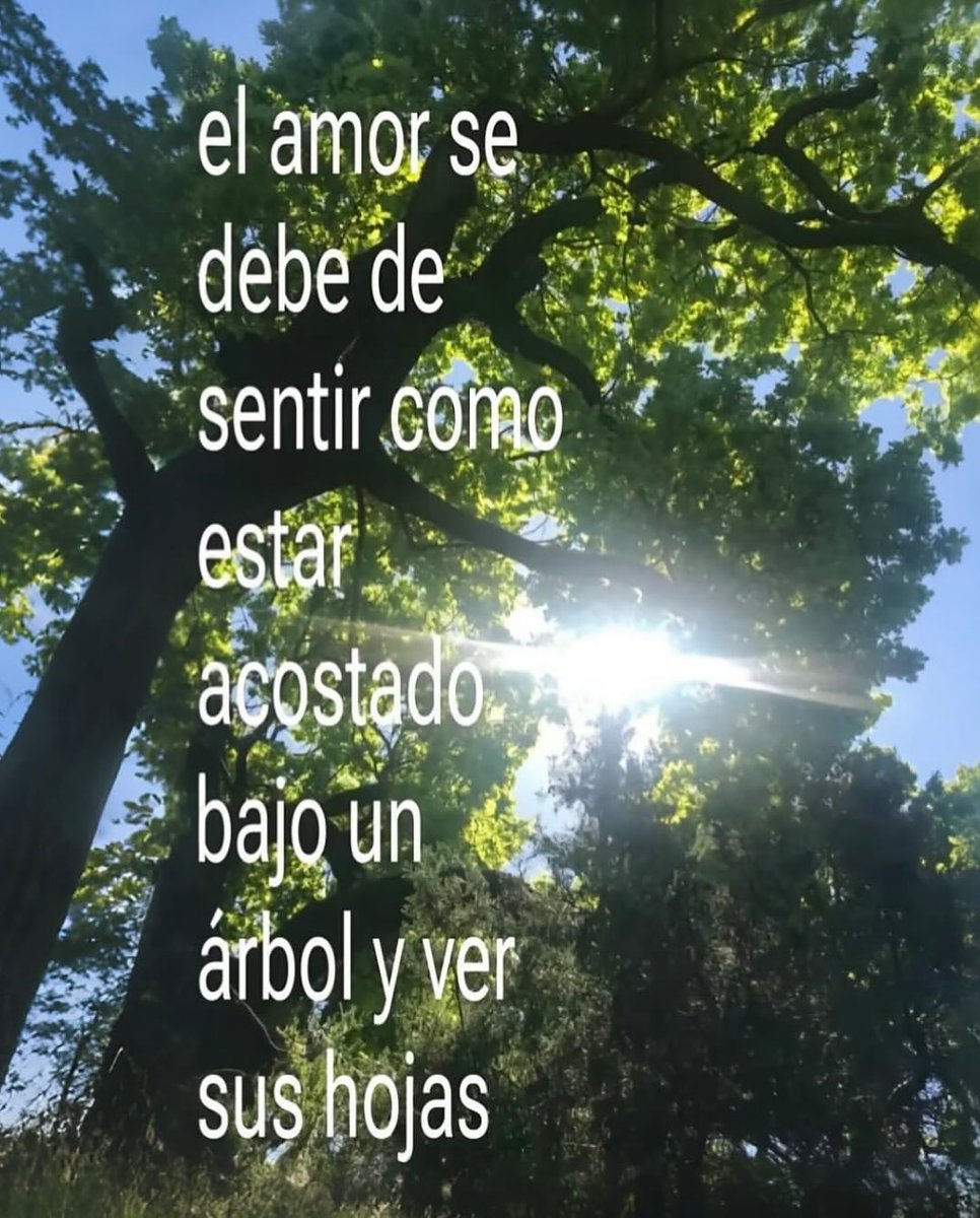 Bacchus 𓄂𓆃 ♛♜♞☥☉ (@feellg2) on Twitter photo 