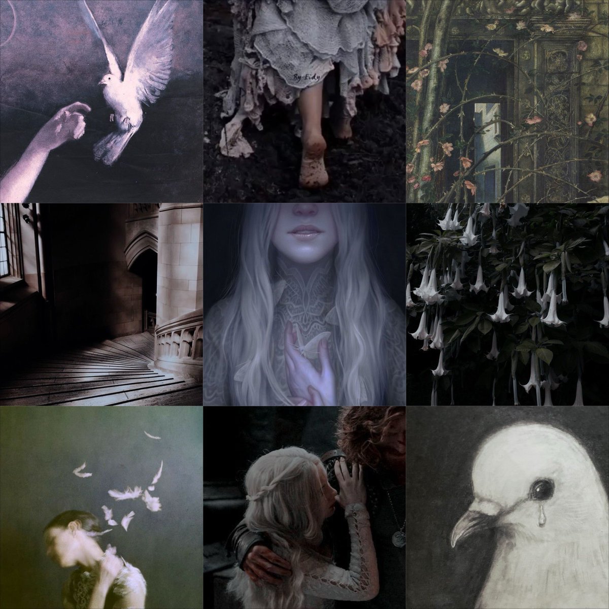 Gemma is on a HIATUS 🕊️🕯️ tweet media