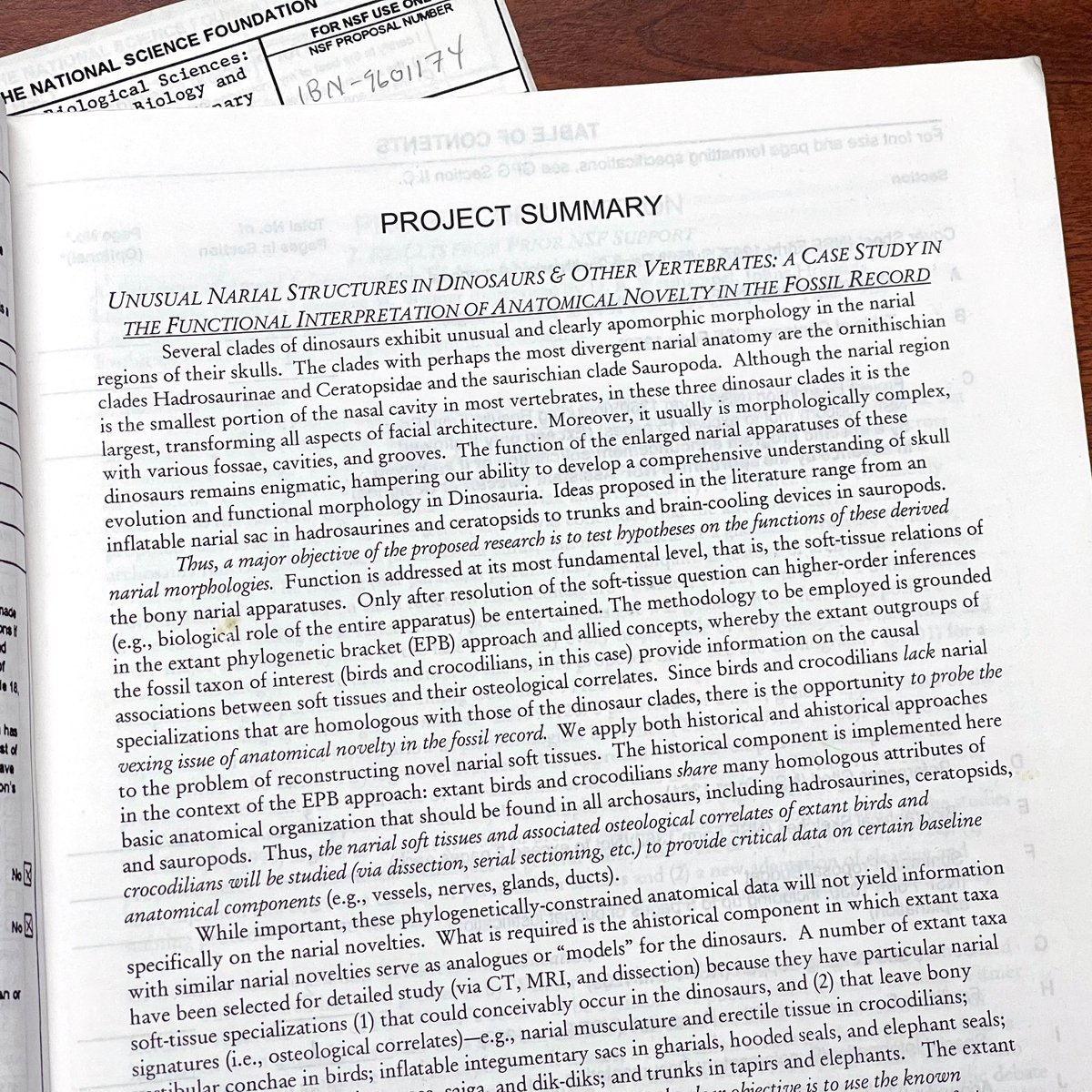 WitmerLab tweet media